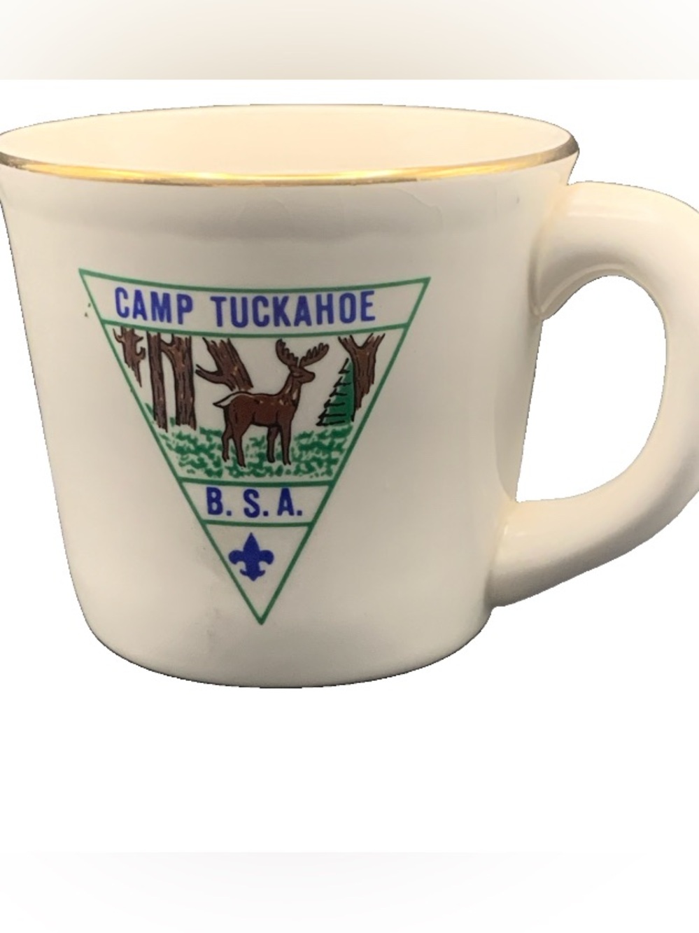 Vintage Boy Scouts Scout Camp Tuckahoe BSA Blue Logo